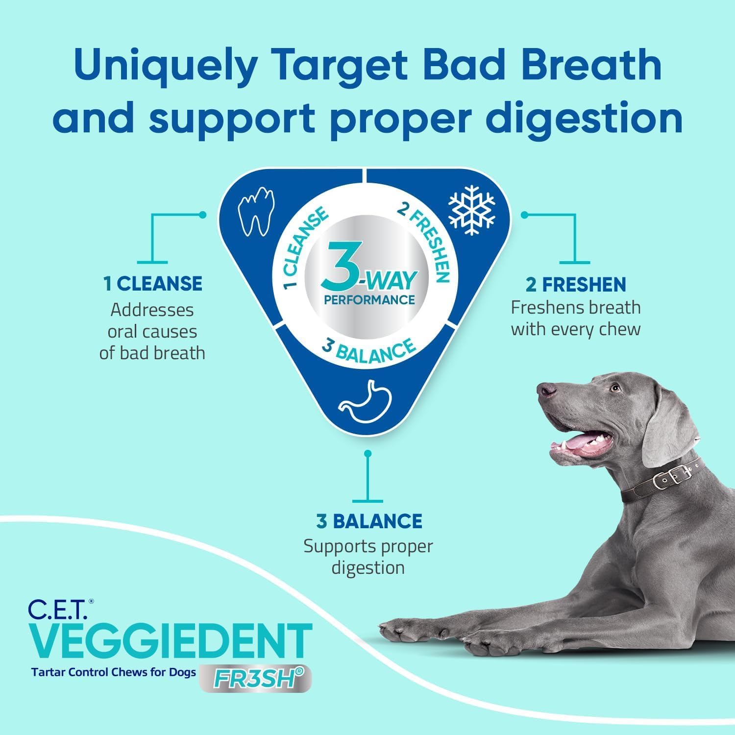 Virbac C.E.T.® VEGGIEDENT® FR3SH® Tartar Control Chews for Dogs with digestive health support, VOHC Approved, Medium 22-66lbs